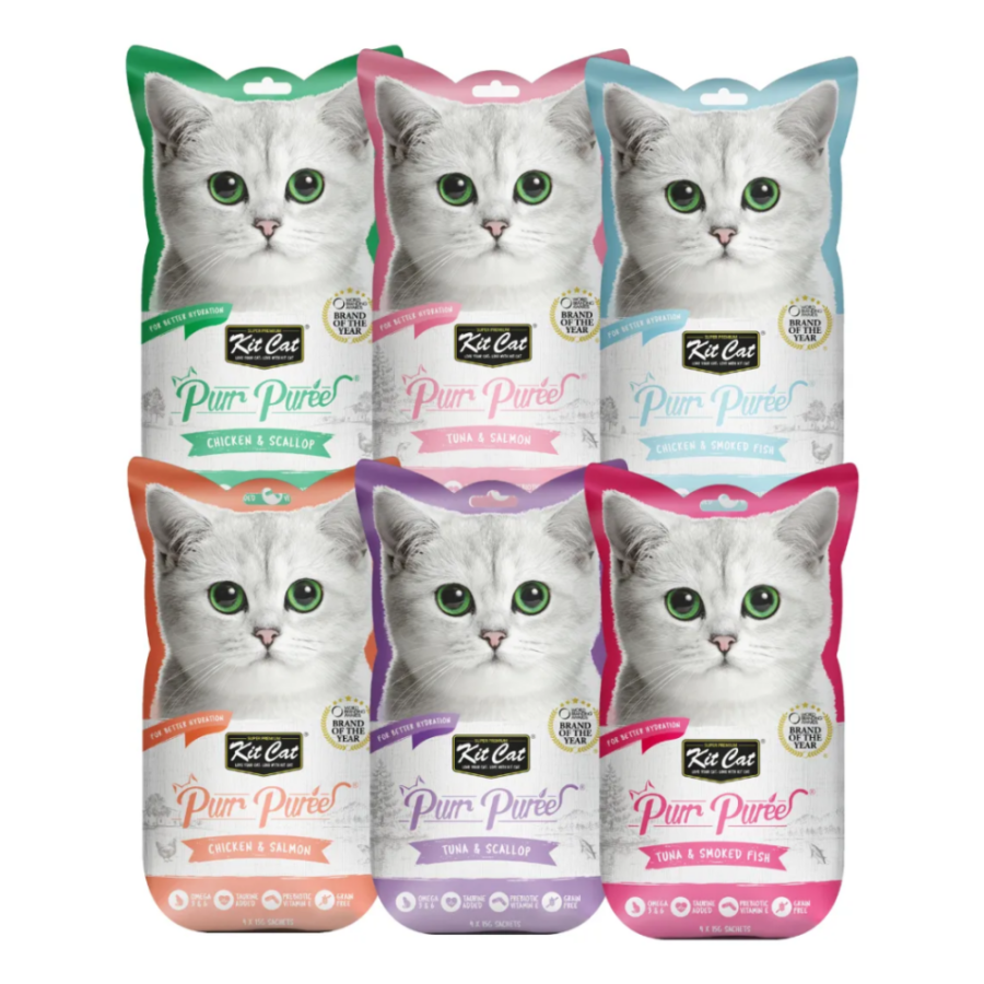 KitCat