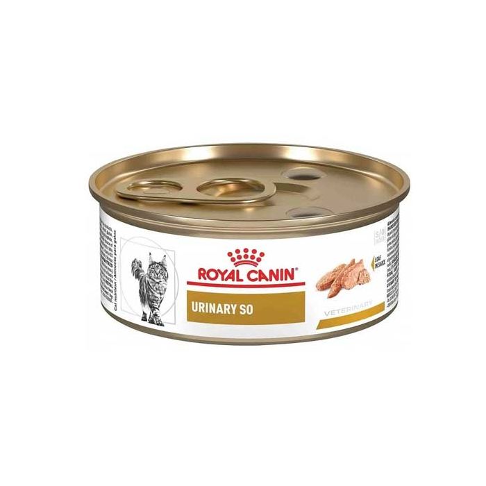 royal_urinary_so_gatos