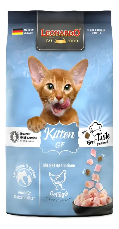 kitten gf 7,5